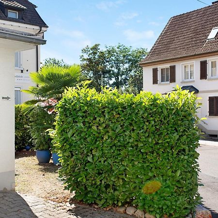 Bluehome Ferienwohnung Bad Bellingen Kültér fotó