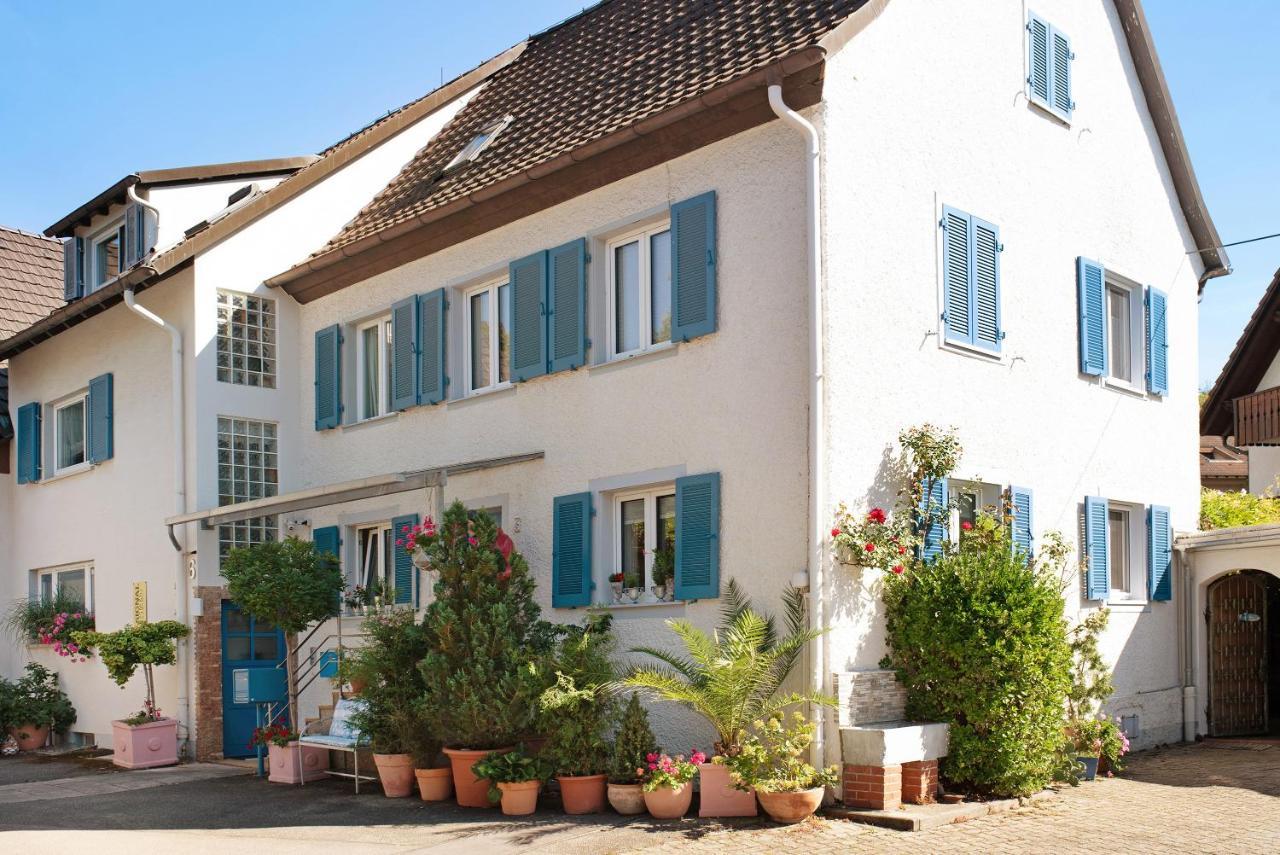 Bluehome Ferienwohnung Bad Bellingen Kültér fotó